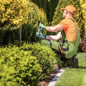 Landscaping worker.